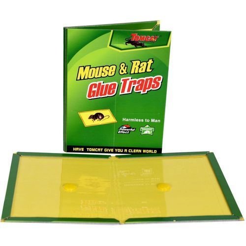 Mouse Book Glue Green